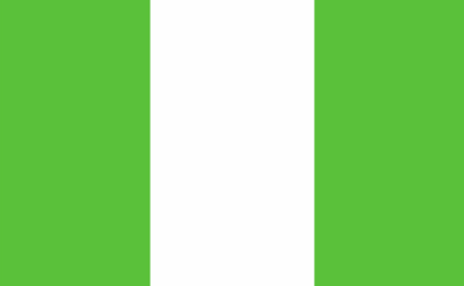 【国外驾照翻译盖章】非洲国家尼日利亚驾照翻译盖章公司